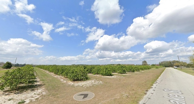 Listing photo 3 for Lake St, Umatilla FL 32784