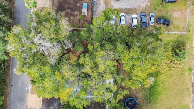 25 People St, Eatonville, FL 32751 - photo 17