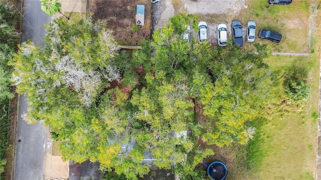 25 People St, Eatonville, FL 32751 - photo 18