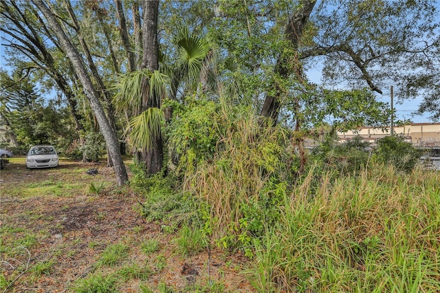 25 People St, Eatonville, FL 32751 - photo 34