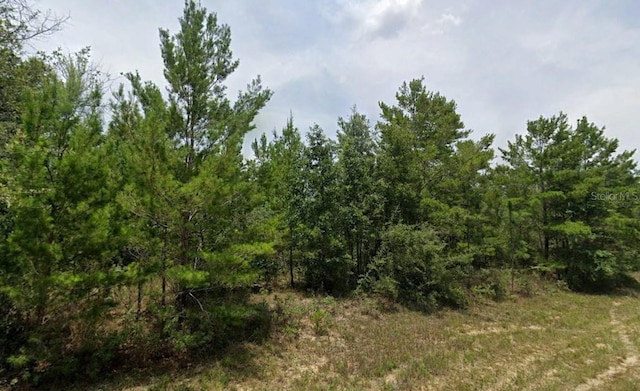 Hampshire Blvd, Chipley FL, 32428 land for sale