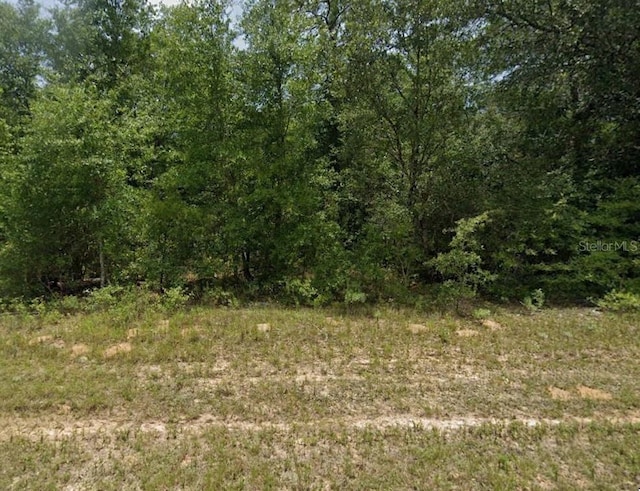 Pintado Ct, Chipley FL, 32428 land for sale