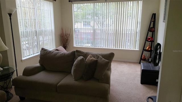 view of carpeted living room