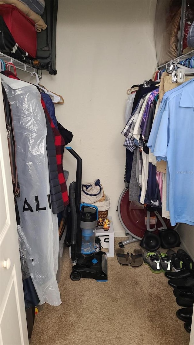 walk in closet featuring carpet