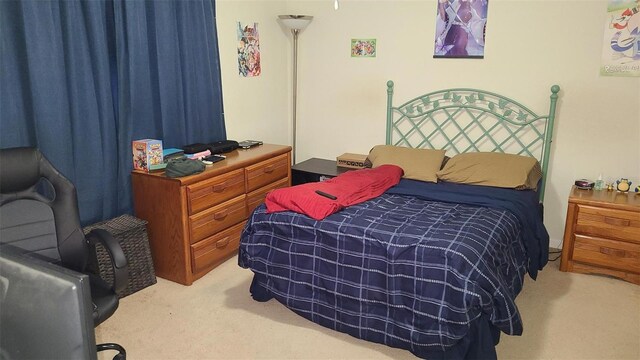 13103 Mulberry Park Dr Unit 824, Orlando, FL 32821 - view of carpeted bedroom