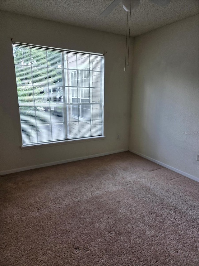 13103 Mulberry Park Dr Unit 824, Orlando, FL 32821 - photo 29