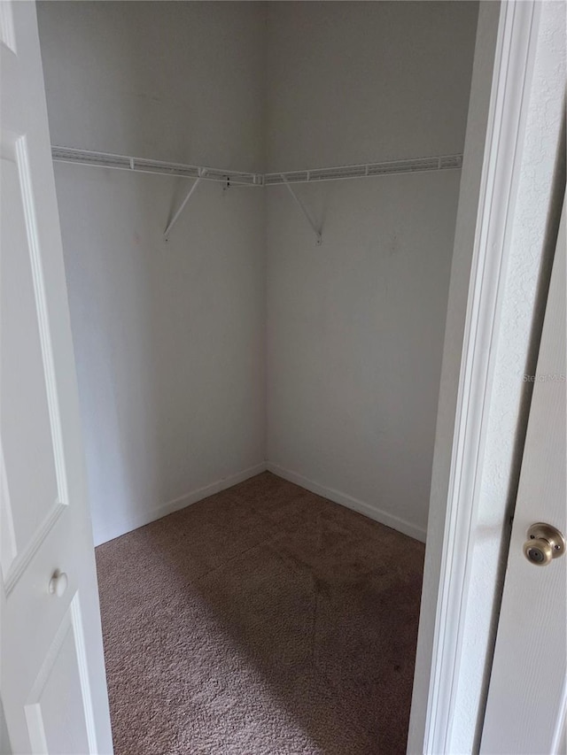 13103 Mulberry Park Dr Unit 824, Orlando, FL 32821 - photo 31