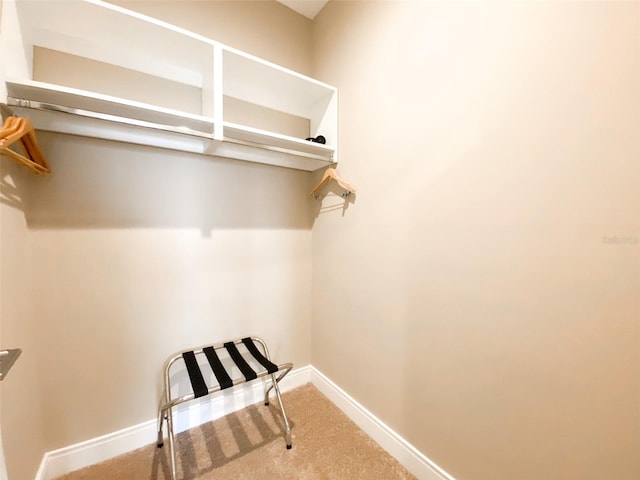 spacious closet featuring carpet