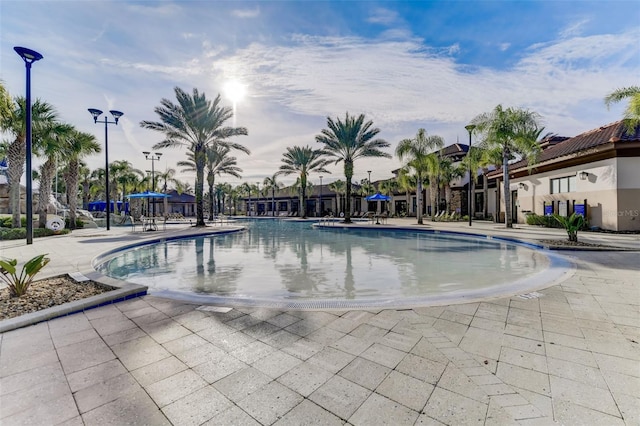 view of pool featuring a patio area