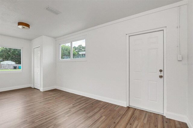 foyer entrance with wood-type flooring