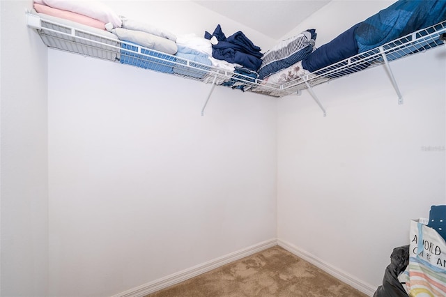 walk in closet with light colored carpet