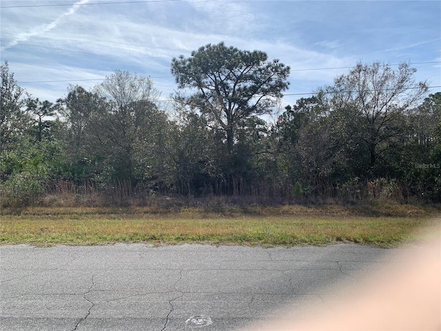 Reynolds Pkwy, Orlando FL, 32833 land for sale