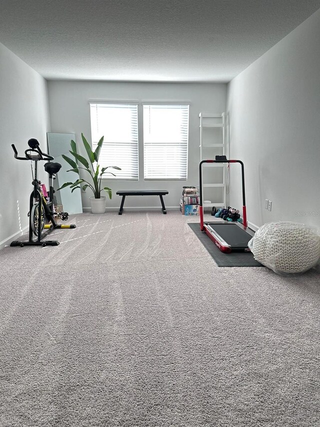 exercise room featuring carpet flooring