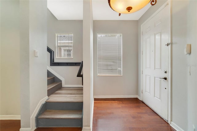 foyer entrance featuring wood-type flooring