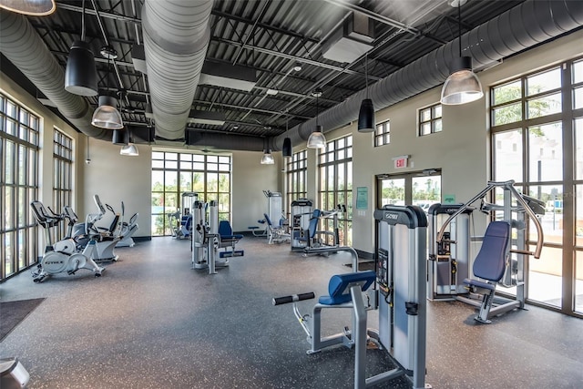 exercise room with a healthy amount of sunlight