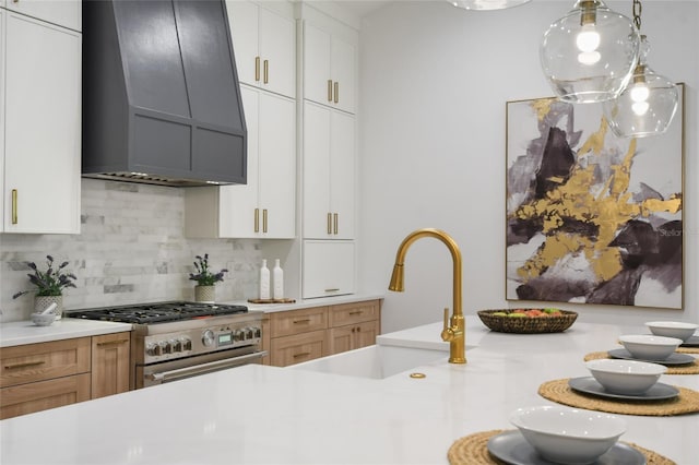 kitchen with white cabinetry, sink, high end stainless steel range oven, backsplash, and custom exhaust hood