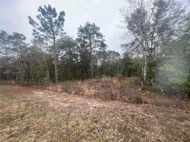 Listing photo 3 for TBD NE 11th St S, Williston FL 32696