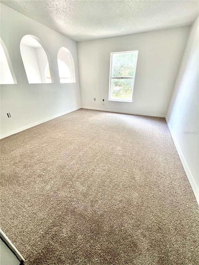 spare room with carpet, a wealth of natural light, and a textured ceiling