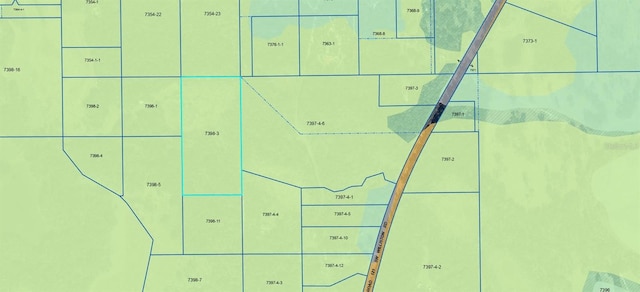 Tbd, Micanopy FL, 32667 land for sale