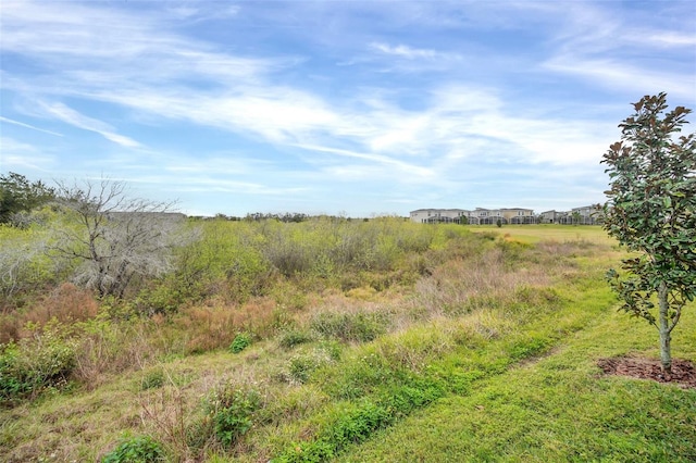 view of local wilderness