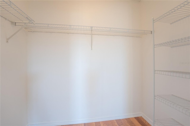 walk in closet featuring wood finished floors