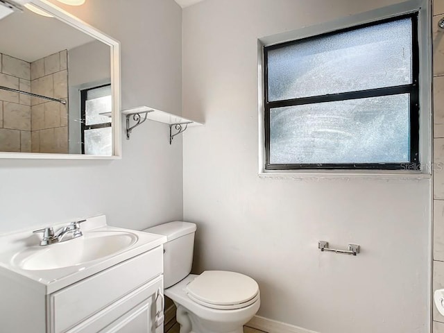 bathroom featuring toilet and vanity with extensive cabinet space