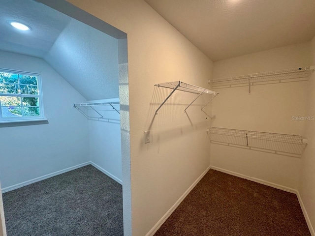 spacious closet with dark carpet and vaulted ceiling