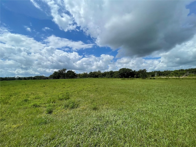 view of local wilderness with a rural view