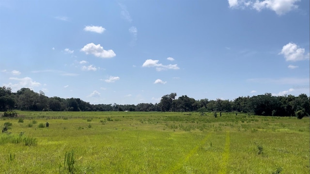 view of nature featuring a rural view