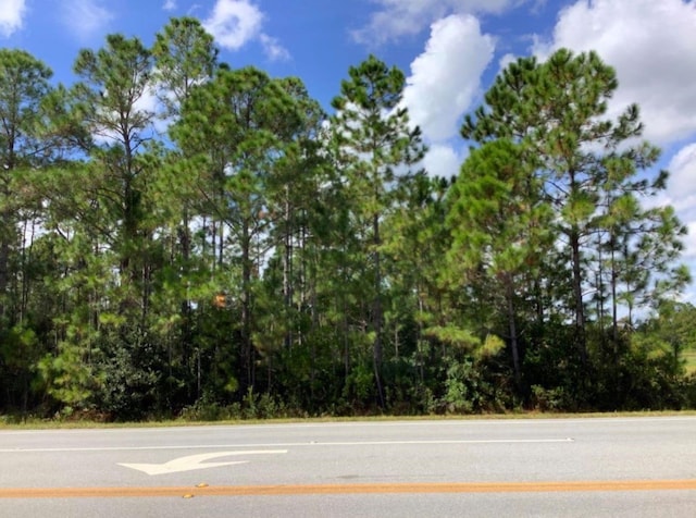 Bancroft Blvd, Orlando FL, 32833 land for sale