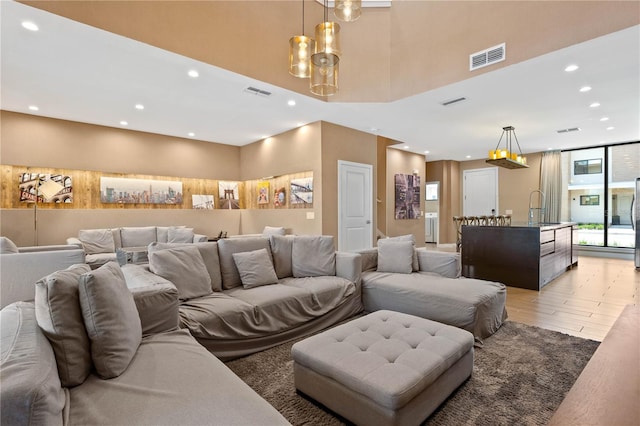 living room with wood-type flooring and sink