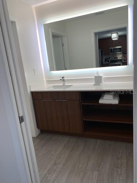 bathroom featuring wood finished floors and vanity