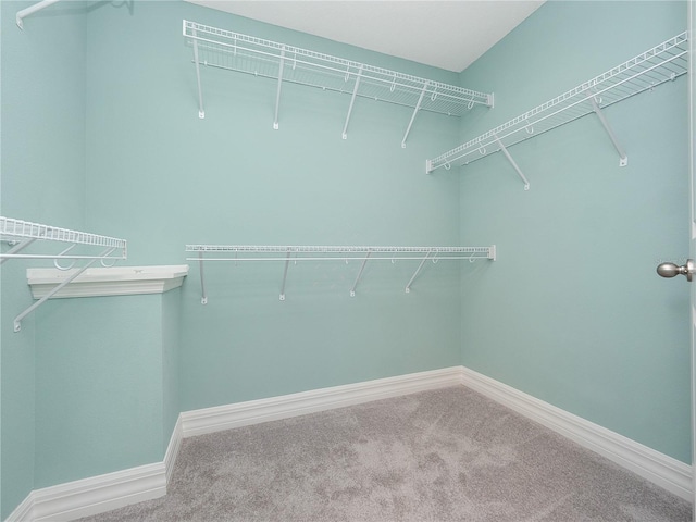 spacious closet with carpet floors