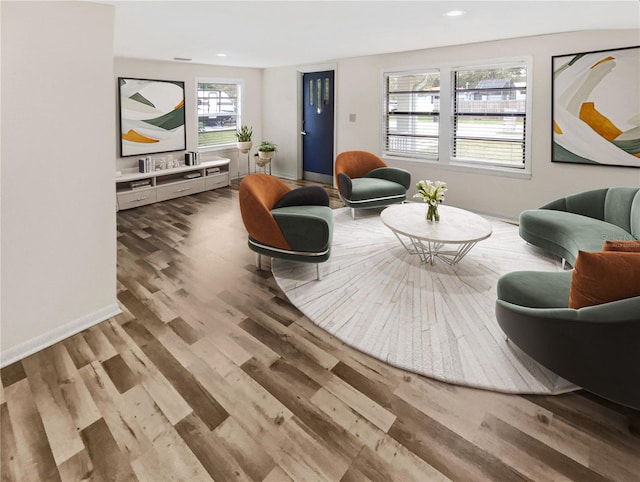 living room with light hardwood / wood-style floors