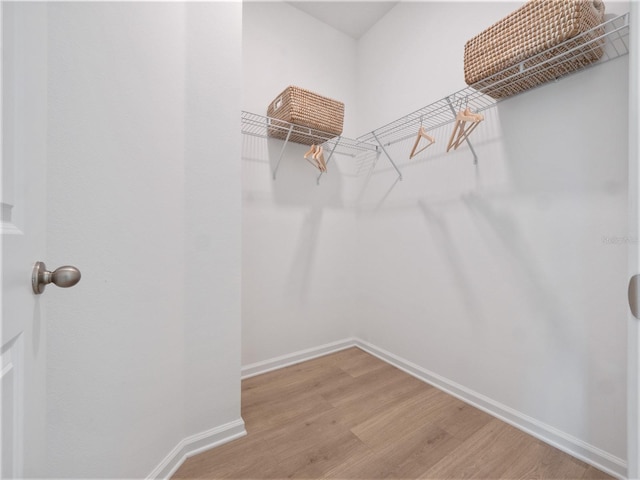 walk in closet featuring light hardwood / wood-style flooring