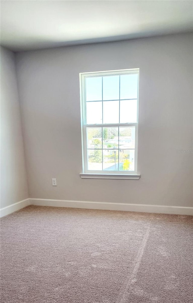 spare room featuring a healthy amount of sunlight and carpet floors