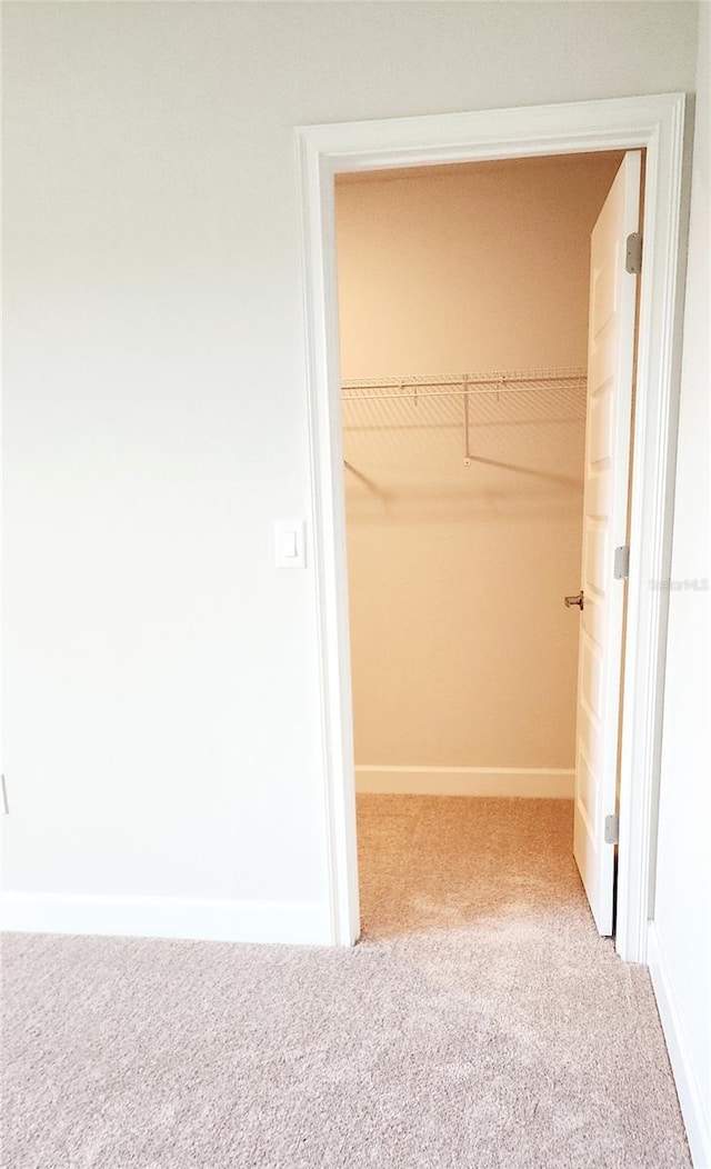 spacious closet with carpet flooring