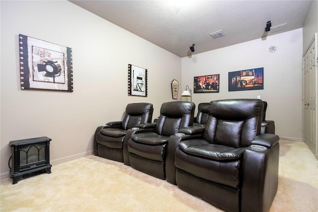 cinema room with a textured ceiling, a wood stove, and light colored carpet