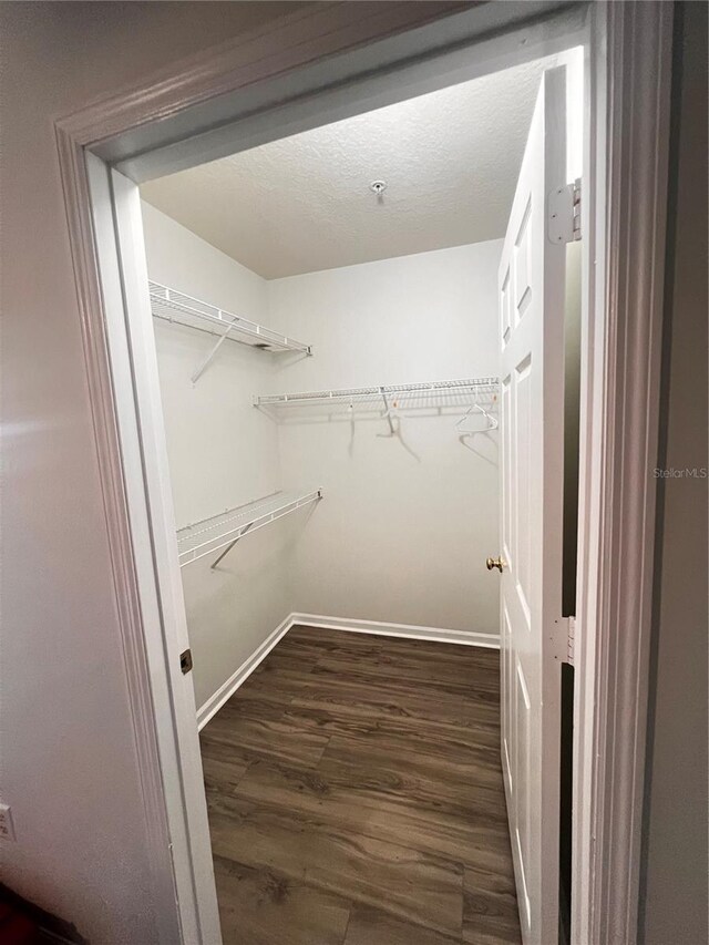 spacious closet featuring dark wood-type flooring