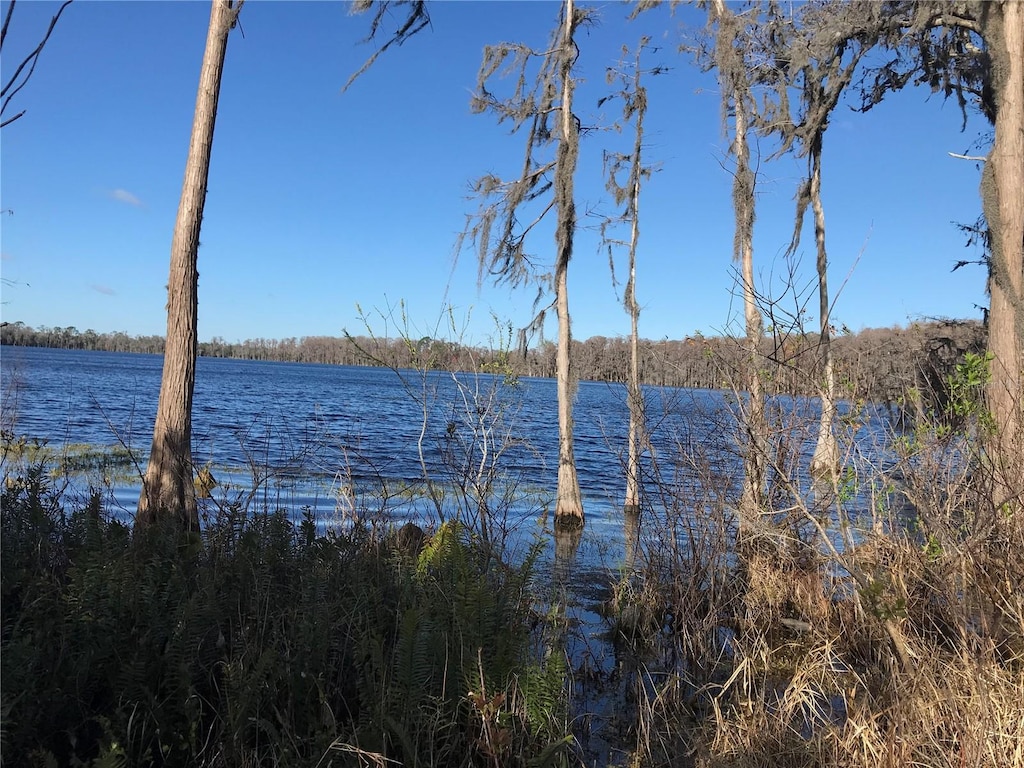 4950 N Fort Christmas Rd, Christmas, FL 32709