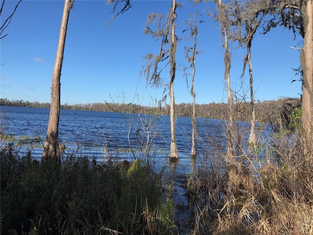 4950 N Fort Christmas Rd, Christmas, FL 32709