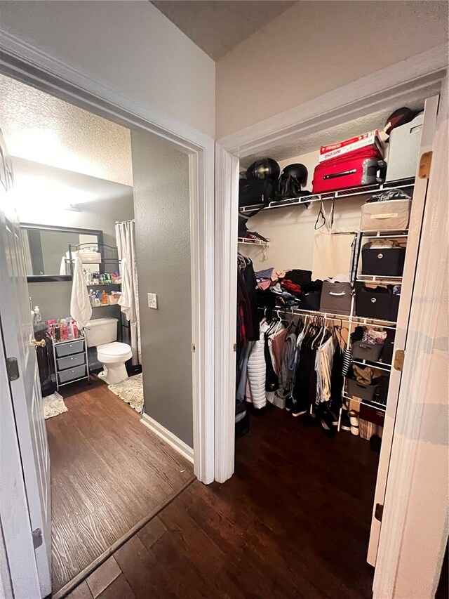 spacious closet featuring dark hardwood / wood-style floors