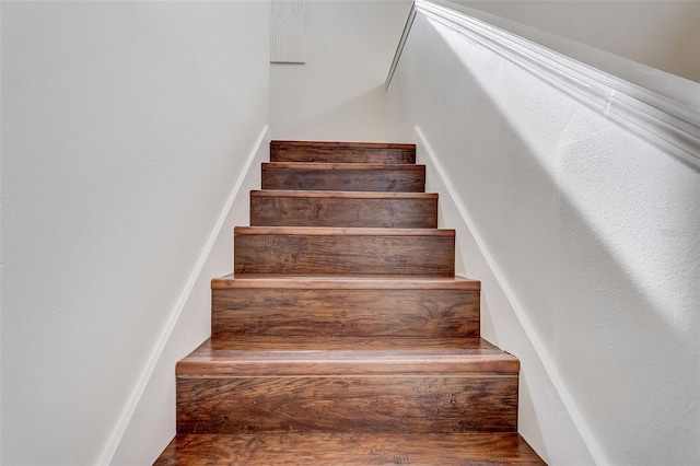 stairs featuring dark hardwood / wood-style flooring