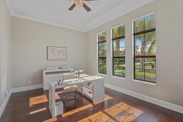 office space featuring ceiling fan, dark wood-type flooring, and crown molding