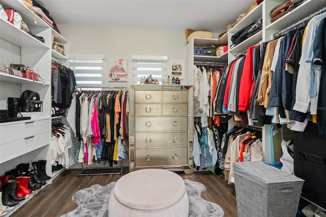 walk in closet with dark wood-type flooring