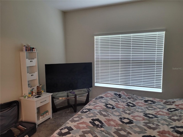 bedroom featuring dark colored carpet