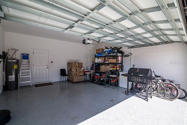 garage featuring a garage door opener and water heater