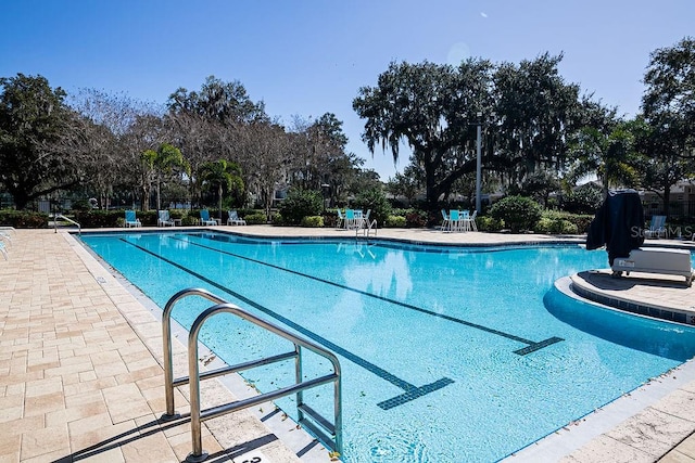 view of swimming pool featuring a patio