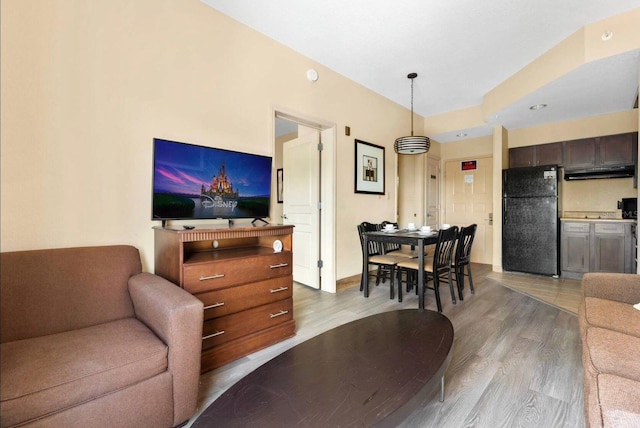 living room featuring light hardwood / wood-style flooring