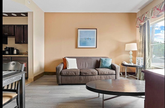 living room featuring light wood-type flooring